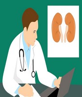 kidney g75cb8517b 1280
