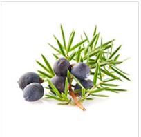 Glucotrust8